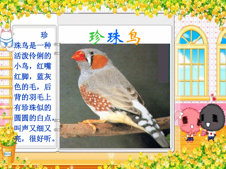 16珍珠鸟优秀课件共享PPT4jsp_第3页