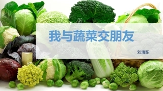 4.我与蔬菜交朋友
