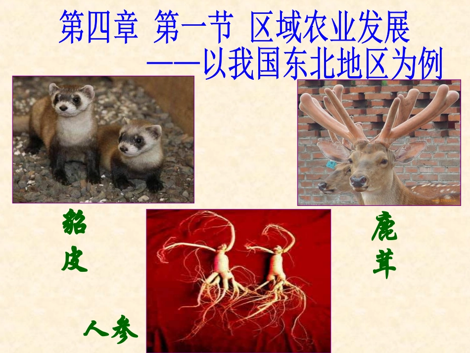 东北地区农业公开课广西_第1页