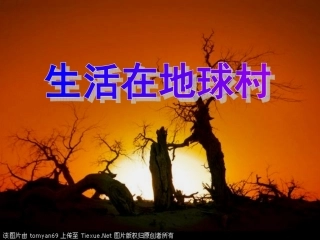 第一课生活在“地球村”-(3)
