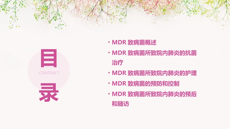 MDR致病菌所致院内肺炎抗菌治疗护理课件_第2页