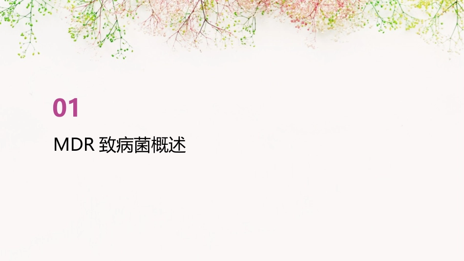 MDR致病菌所致院内肺炎抗菌治疗护理课件_第3页