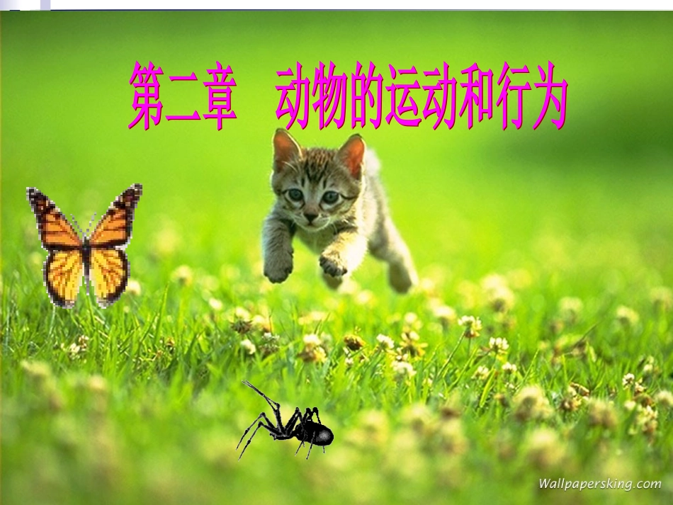 第一节动物的运动_第1页