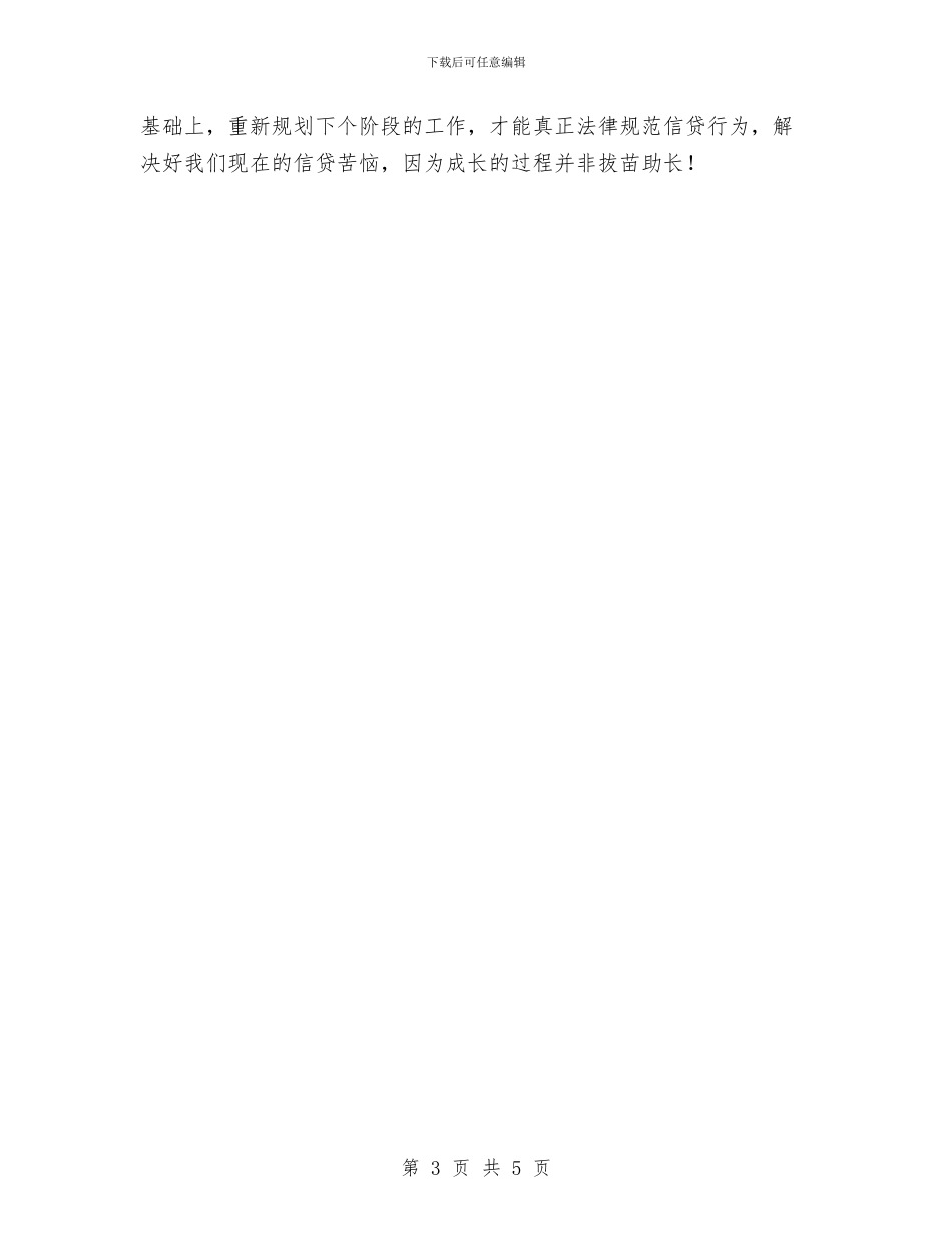信贷客户经理工作总结与信贷工作总结范文汇编_第3页