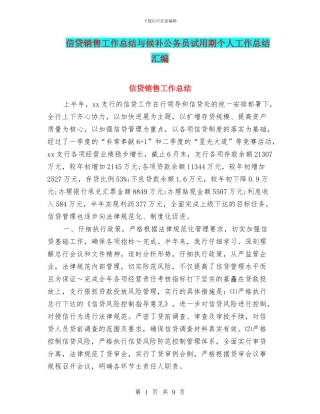 信贷销售工作总结与候补公务员试用期个人工作总结汇编