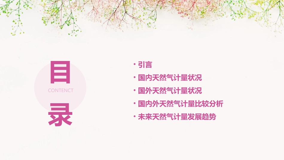 国内外天然气计量状况简要回顾课件_第2页