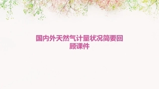 国内外天然气计量状况简要回顾课件