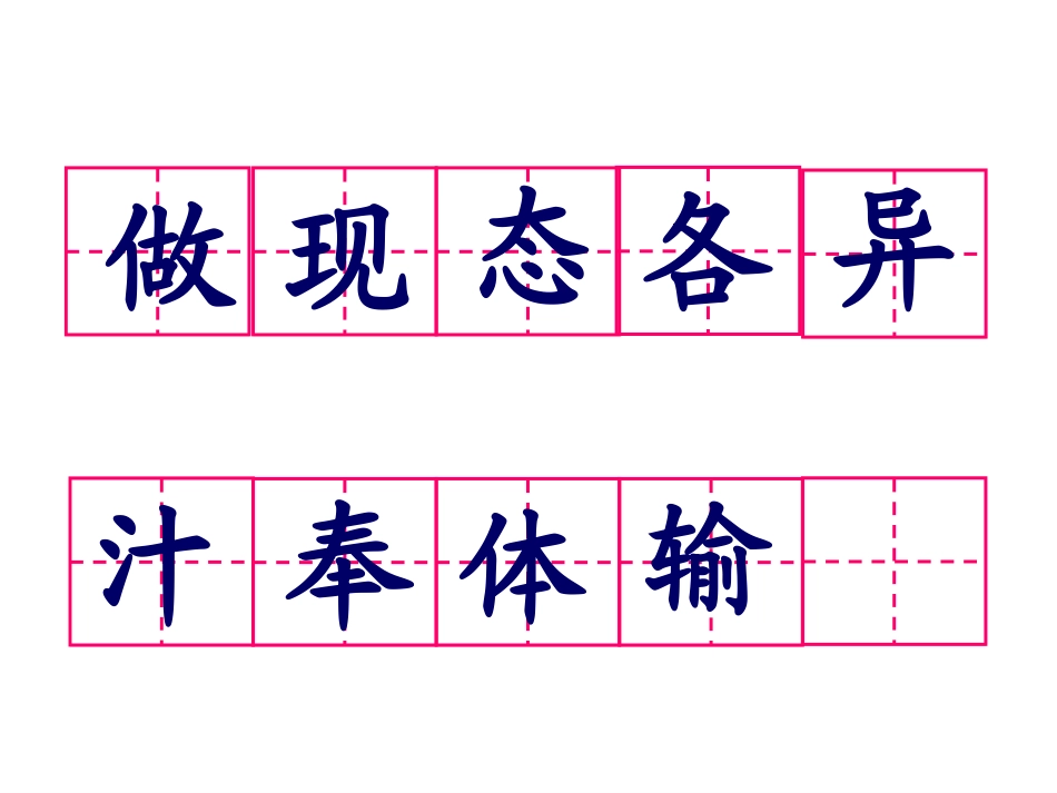 做一片美的叶子第二课时_第3页