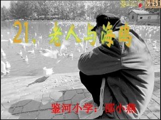 《老人与海鸥》修改