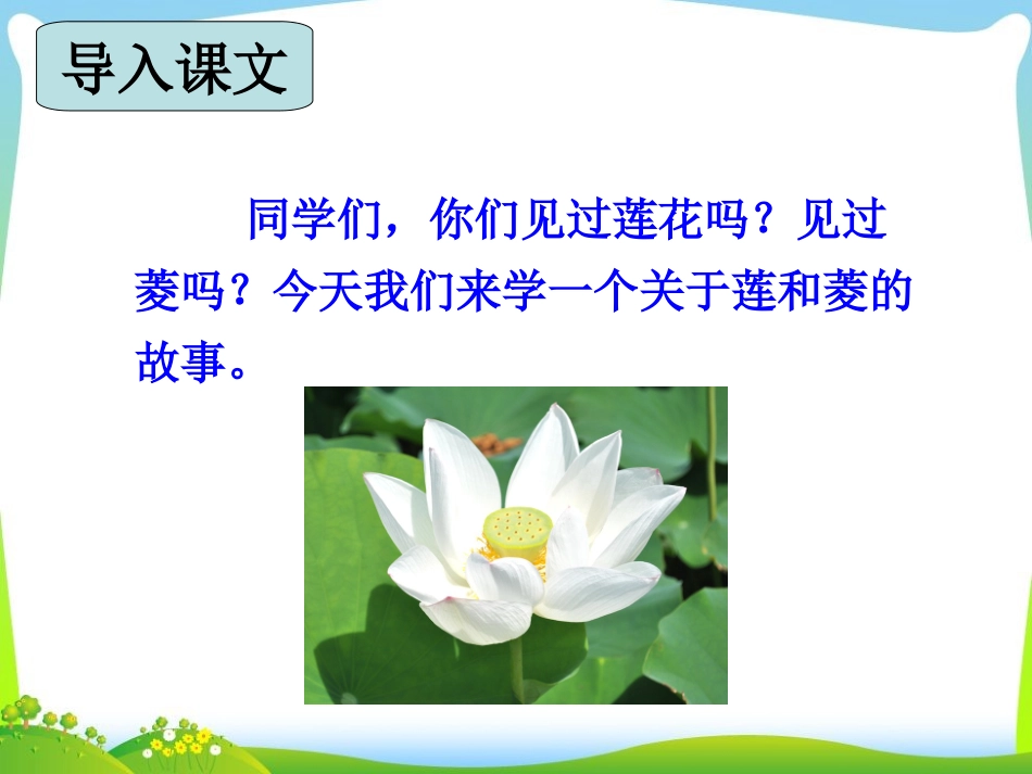 《莲和菱》课件_第2页