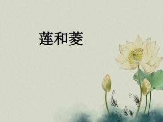 《莲和菱》课件