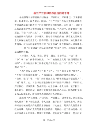 做三严三实和干净担当的好干部