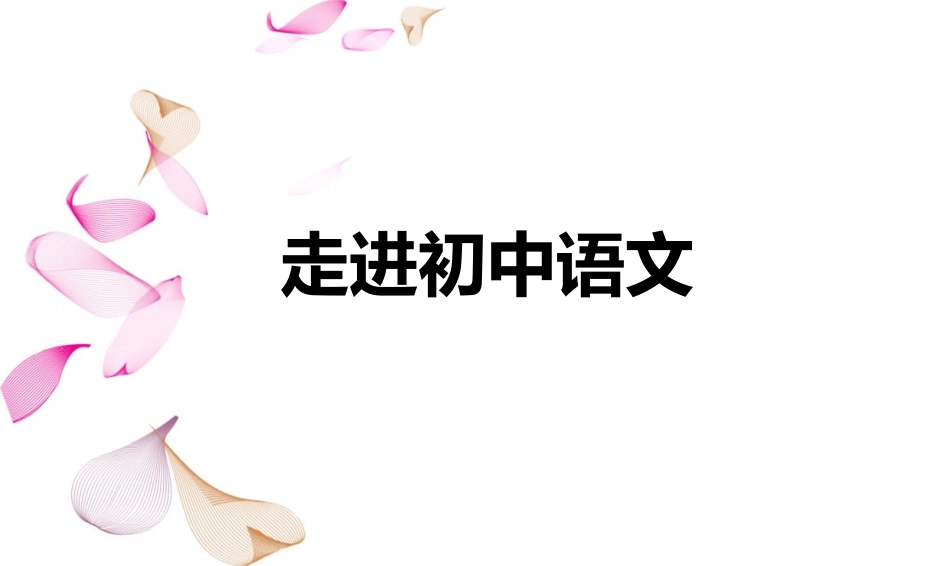 走进初中语文_第1页