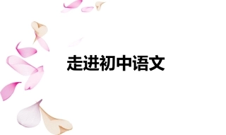 走进初中语文