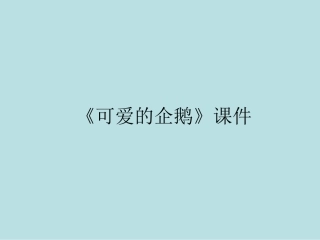 《可爱的企鹅》课件3
