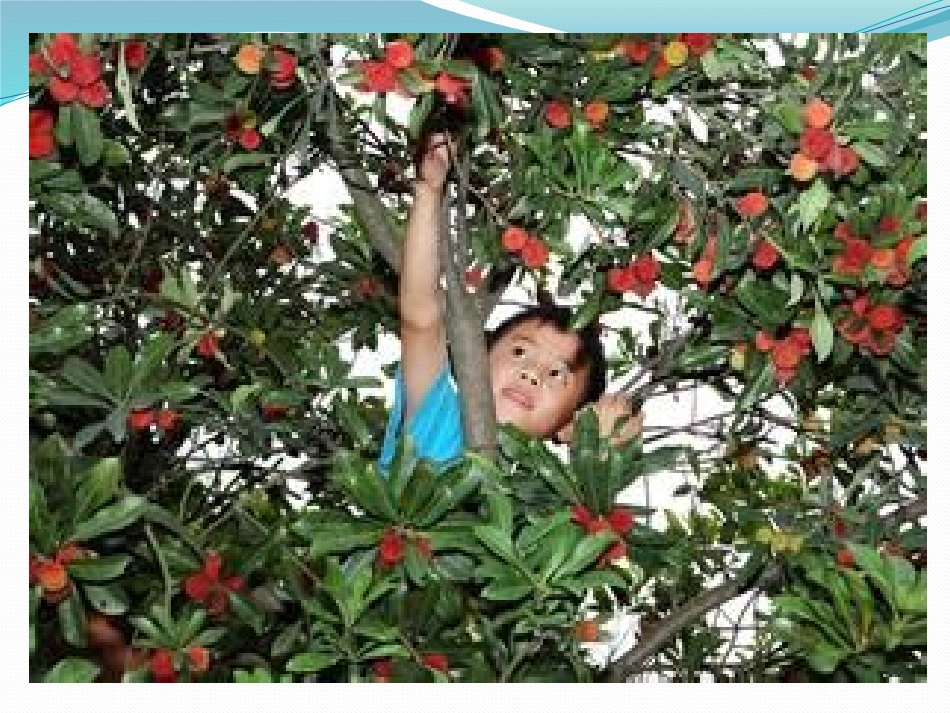 人教2011版小学数学三年级乘法两步计算问题_第2页