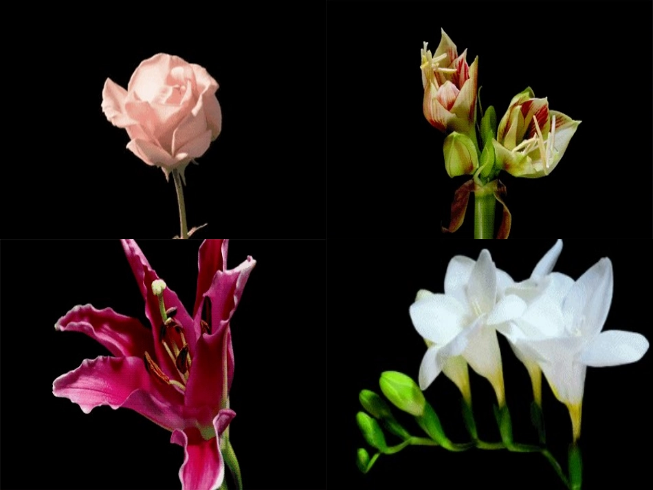 教师心理健康活动_第2页