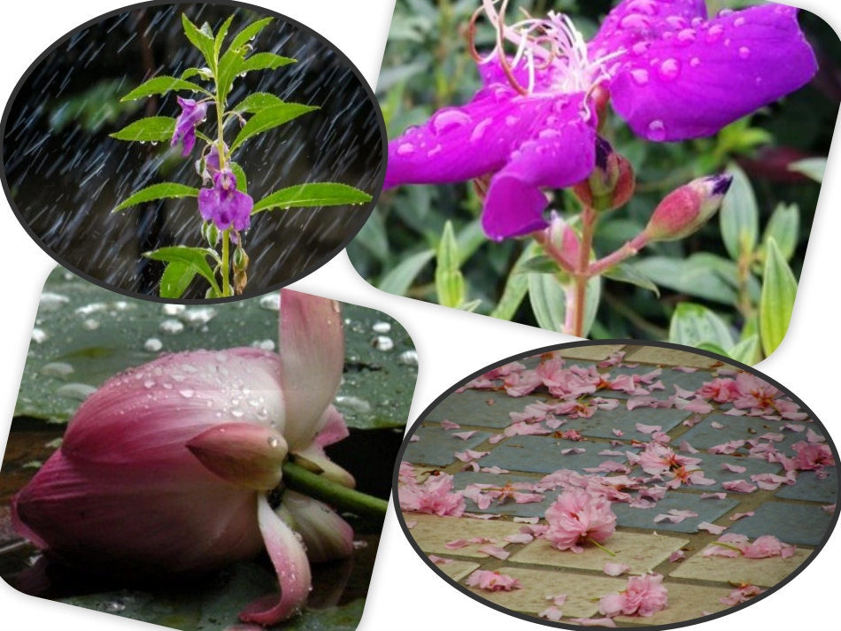 教师心理健康活动_第3页