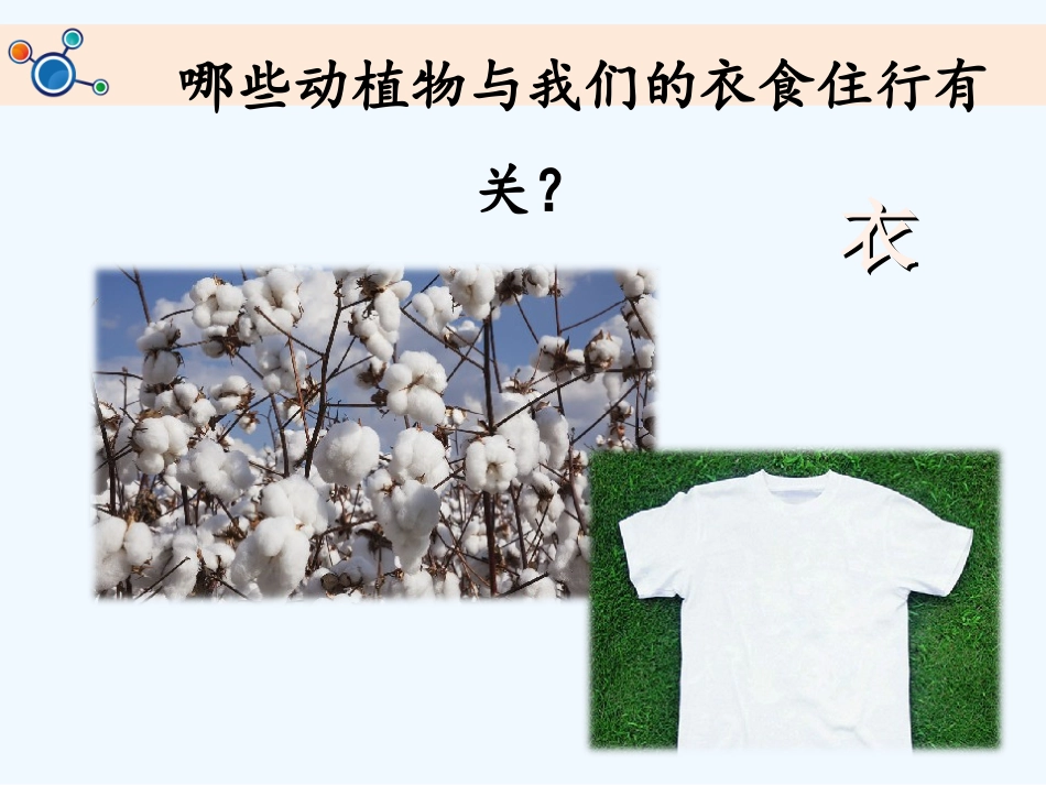 第七课做大自然的孩子_第3页