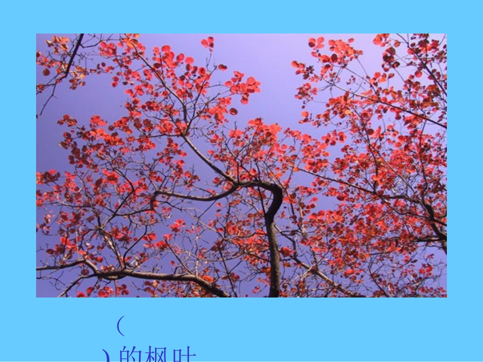 19《蓝色的树叶》-(2)_第2页