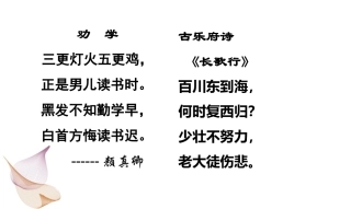 探究性学习——民俗文化探究