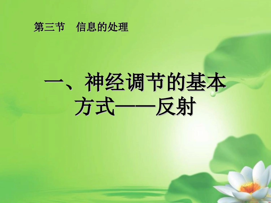 第三节信息的处理_第3页