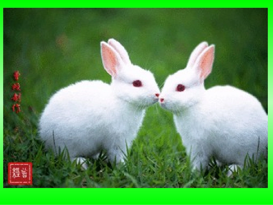 小学数学2011版本小学四年级“鸡兔同笼”_第2页