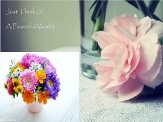 9.创意设计与制作(玩具、小车、书包、垃圾箱等)