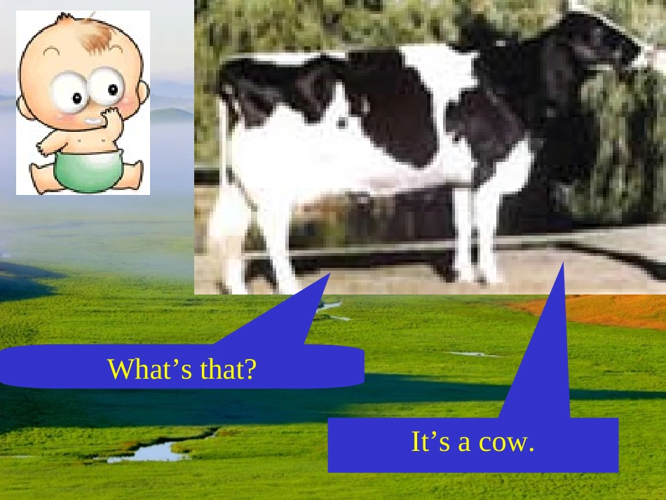 Unit6课件(4)_第3页