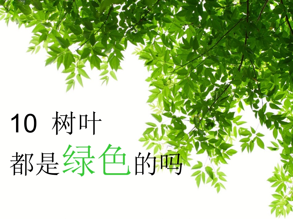 10树叶都是绿色的吗_第1页
