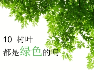 10树叶都是绿色的吗
