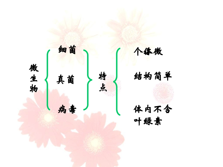 第三节神奇的微生物_第2页