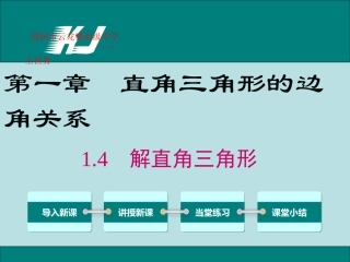 4解直角三角形-(3)