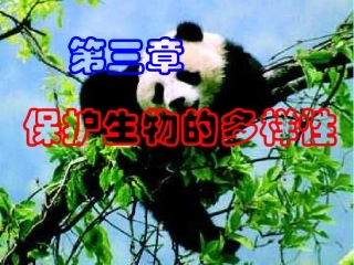 第三节保护生物多样性