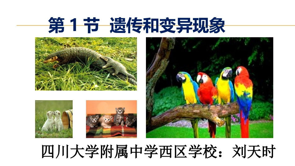 第1节遗传和变异现象_第1页