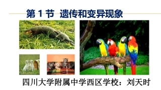 第1节遗传和变异现象