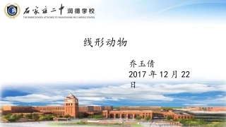 第三节线形动物和环节动物