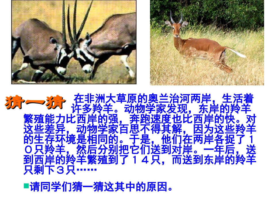 第四课-人生自强少年始_第3页