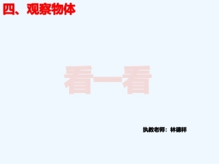 小学数学北师大2011课标版四年级看一看.