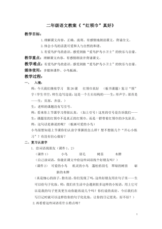 红领巾真好教案