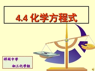 化学方程式lidongliu