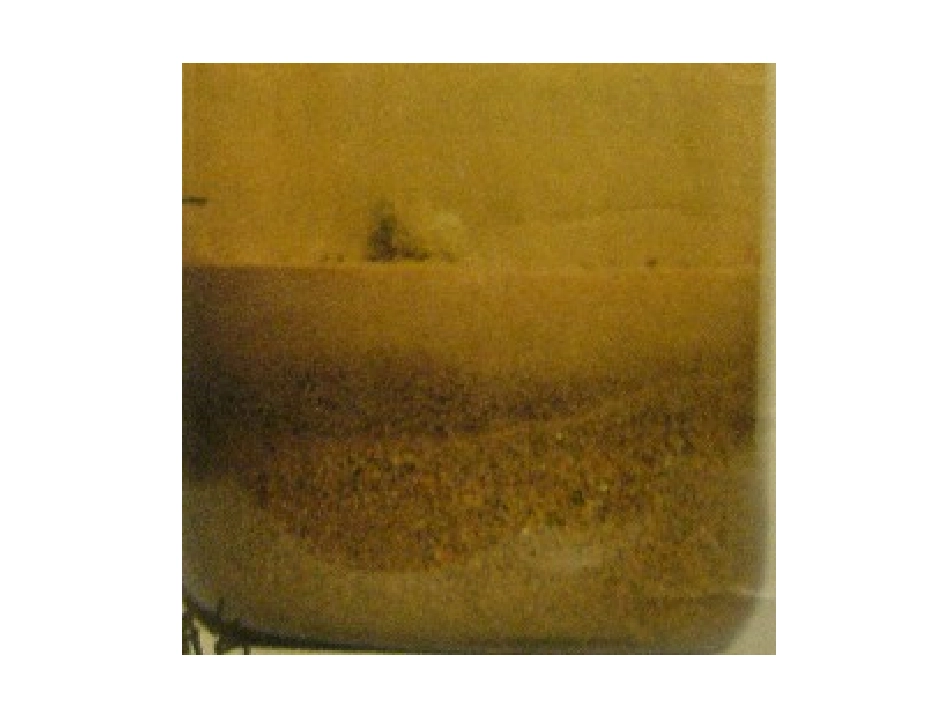 教科版小学科学五年级上册第三单元《河流对土地的作用》PPT课件_第2页