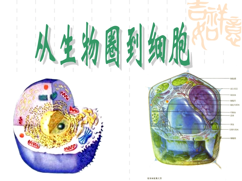 从生物圈到细胞课件(1)_第1页