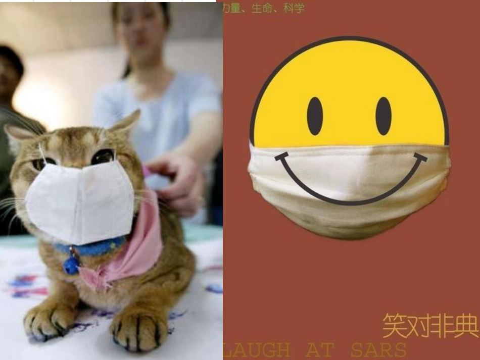 从生物圈到细胞课件(1)_第3页