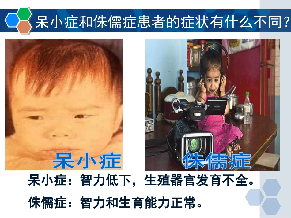 第一节激素与生长发育_第3页