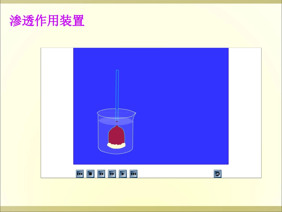4.1物质跨膜运输的实例-(1)_第2页