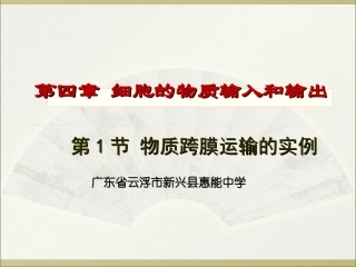 4.1物质跨膜运输的实例-(1)