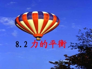2.力的平衡