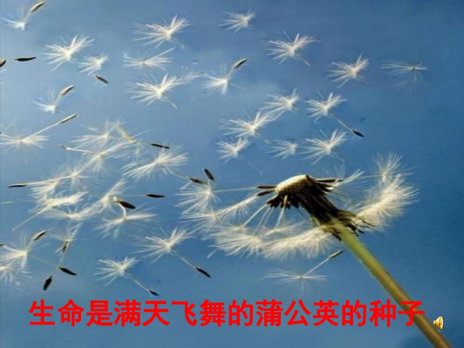 平分生命ppt_第2页