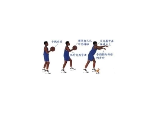 8、篮球：传接球、投篮技术